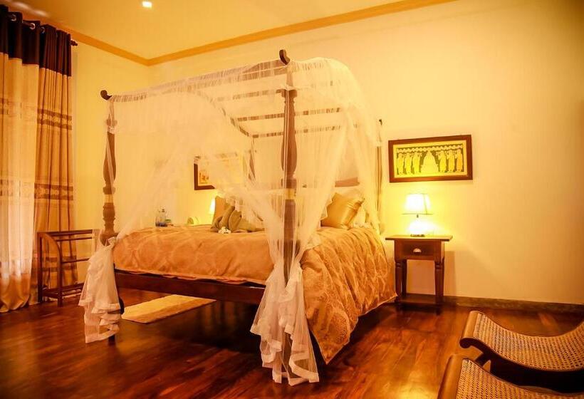 패밀리 스위트, Morning Star