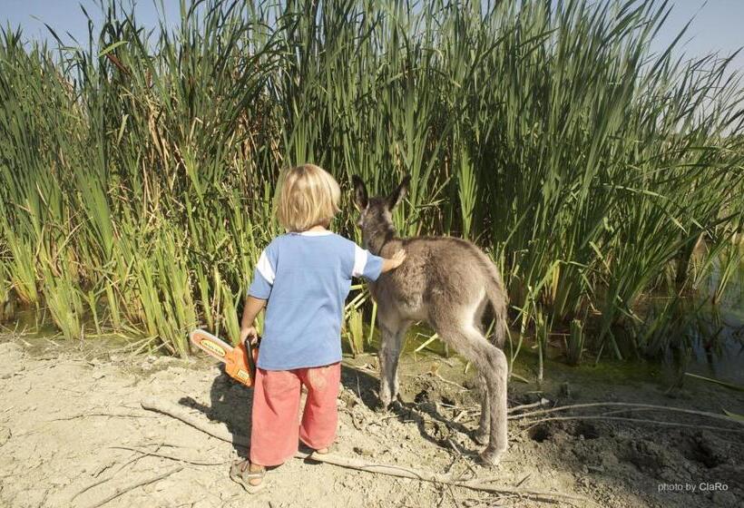 エコノミールーム, Agriturismo Quarantallina