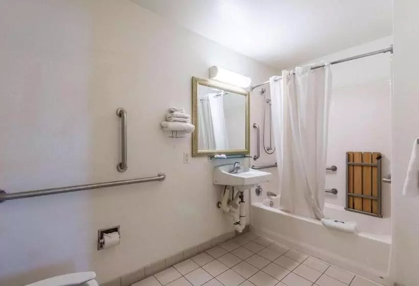 身障者適用スタンダードルーム, Motel 6victoria, Tx