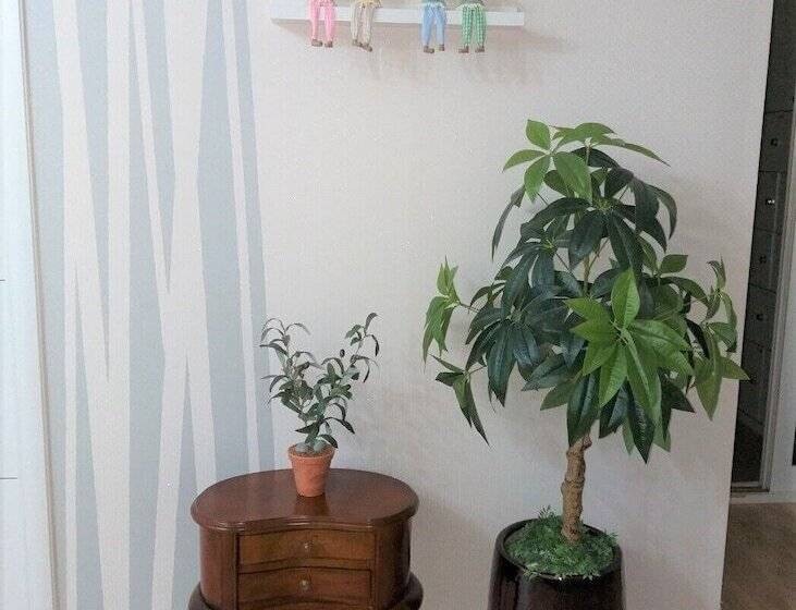 Семейный Номер, Mr. Kim Guesthouse