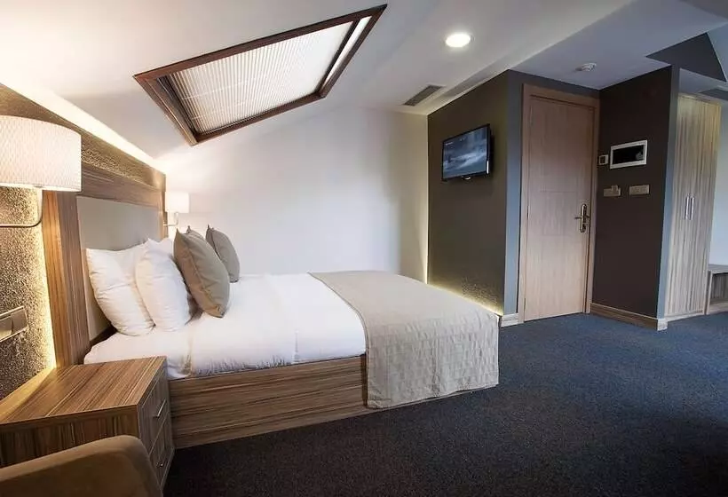 Deluxe Room, The Rise Aron Business Hotel Merter