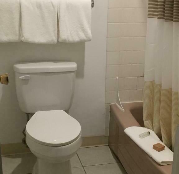 标准间, Cougar Land Motel