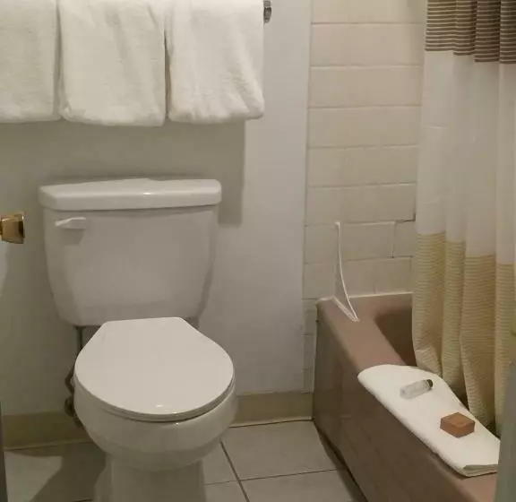 اتاق استاندارد, Cougar Land Motel