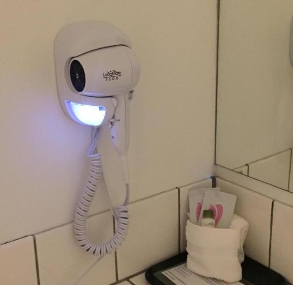 غرفة ديلوكس, Cougar Land Motel