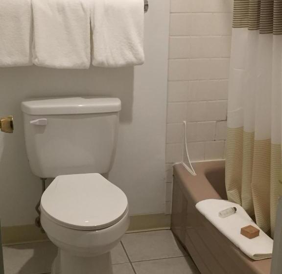 豪华房间, Cougar Land Motel