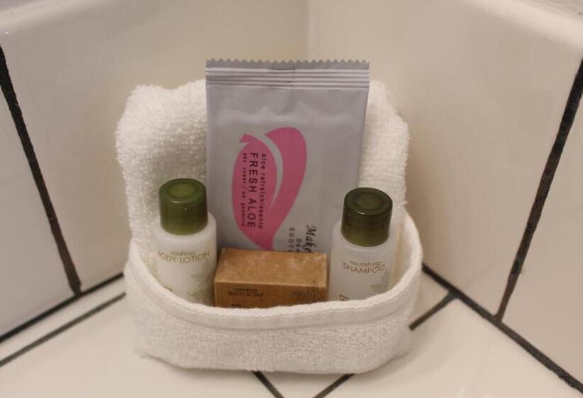 غرفة ديلوكس, Cougar Land Motel