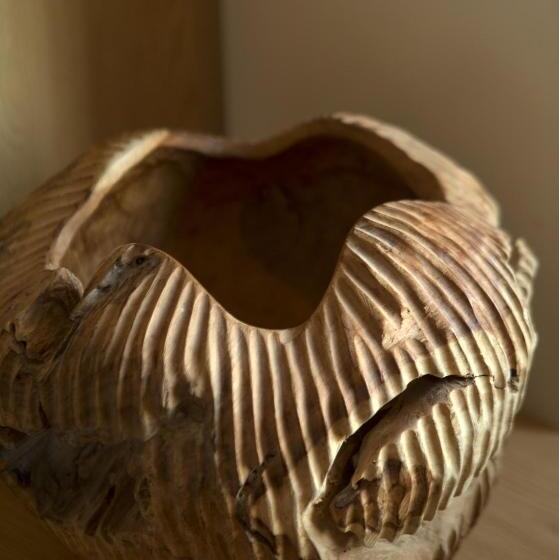 جناح, Alila Solo