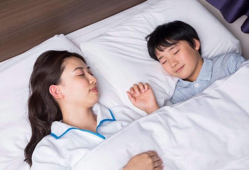 スタンダードルーム, Comfort Inn Kofu Showa Inter