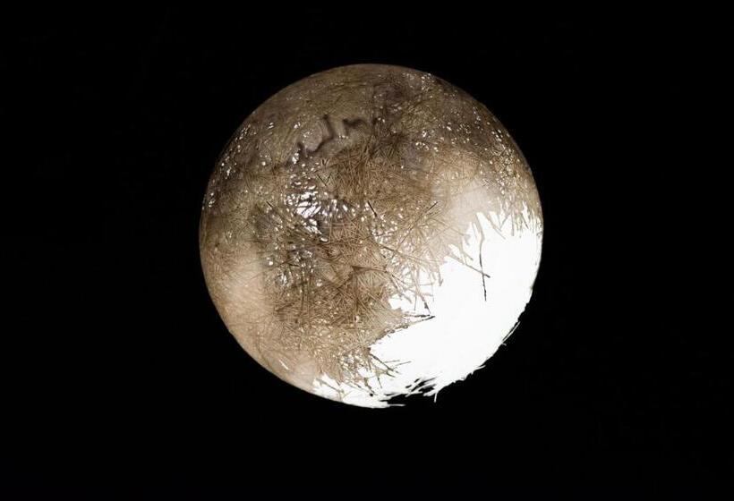 ファミリーステューディオ, La Pajassa