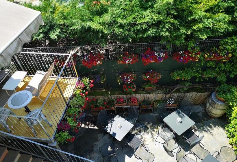 スタンダードスタジオ, La Pajassa