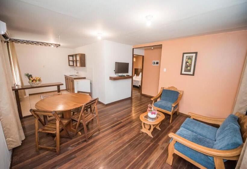 标准单人间, Manish Hotel Ecólogico