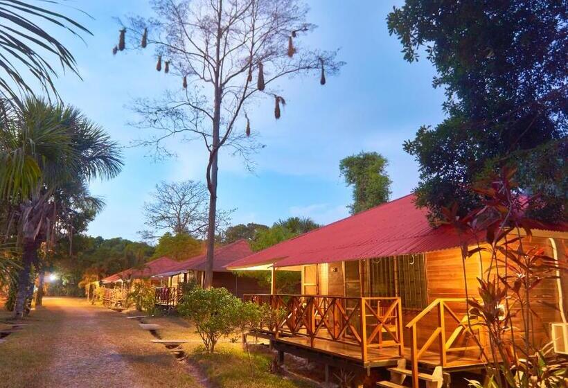 标准间, Manish Hotel Ecólogico