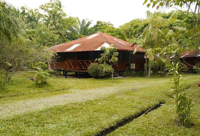 带2个卧室的标准洋房, Manish Hotel Ecólogico