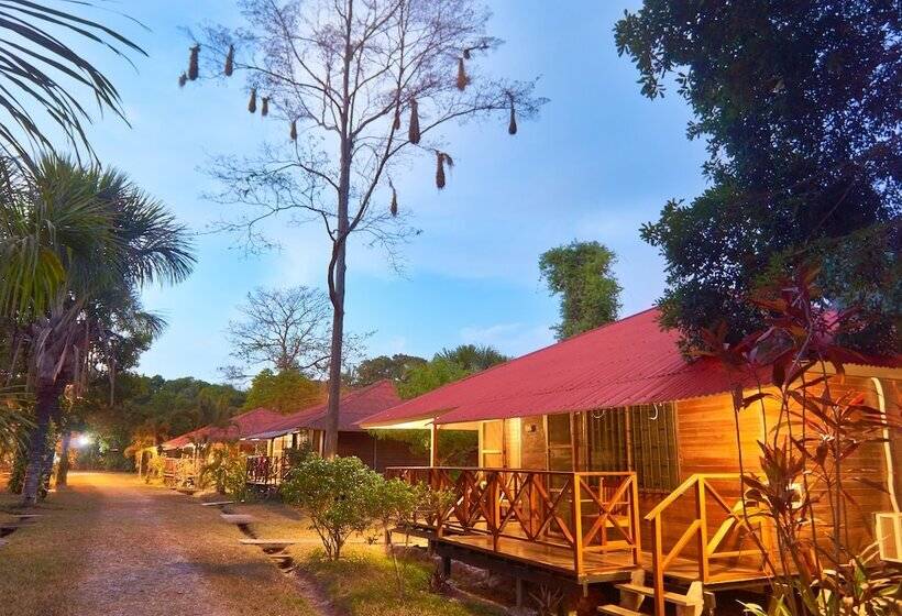 带2个卧室的标准洋房, Manish Hotel Ecólogico