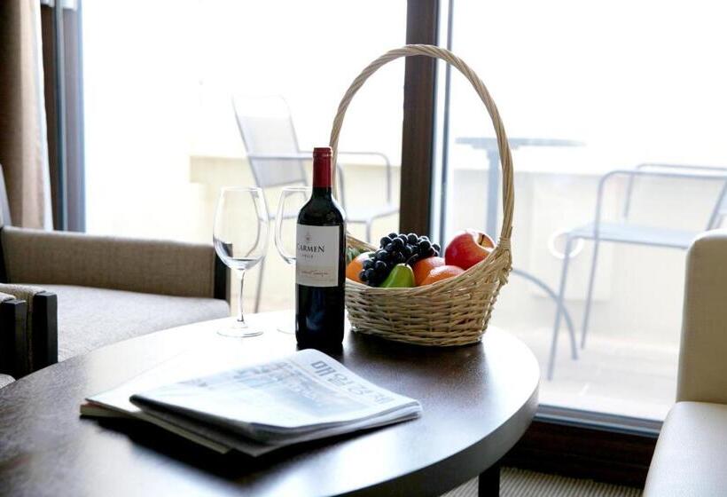 Президентский Люкс, Mstay