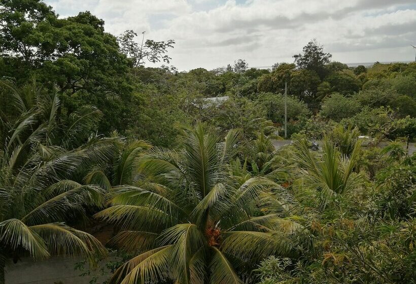 استودیوی استاندارد با تخت دو نفره بزرگ, Guava Grove Resort & Villas