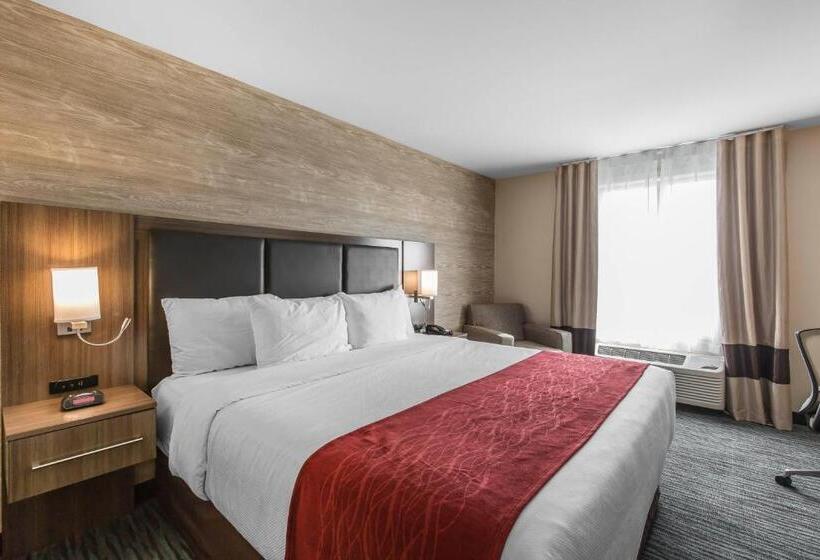 غرفة قياسية سرير كينج, Comfort Inn & Suites Airport North