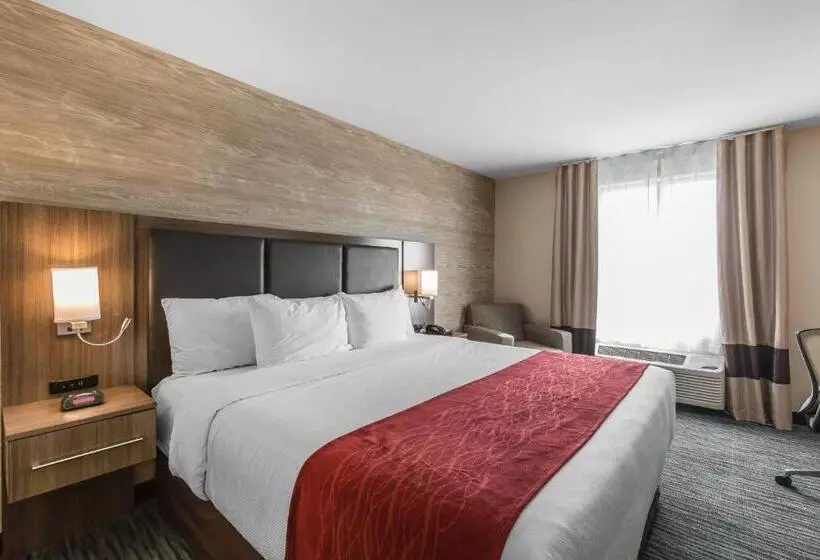 キングサイズベッドのスタンダードルーム, Comfort Inn & Suites Airport North