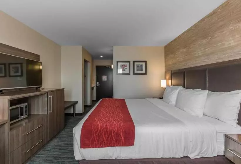 キングサイズベッドのスタンダードルーム, Comfort Inn & Suites Airport North
