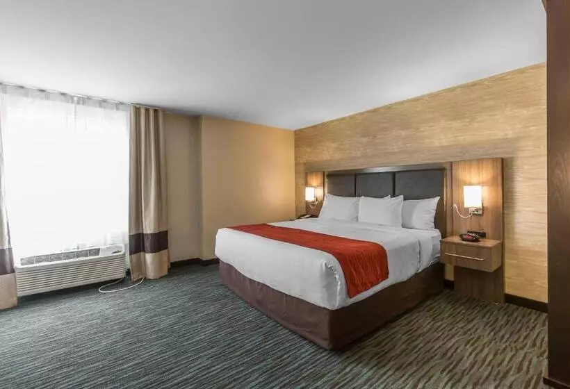 キングサイズベッドのスタンダードルーム, Comfort Inn & Suites Airport North