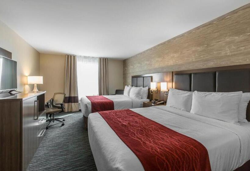 غرفة قياسية, Comfort Inn & Suites Airport North