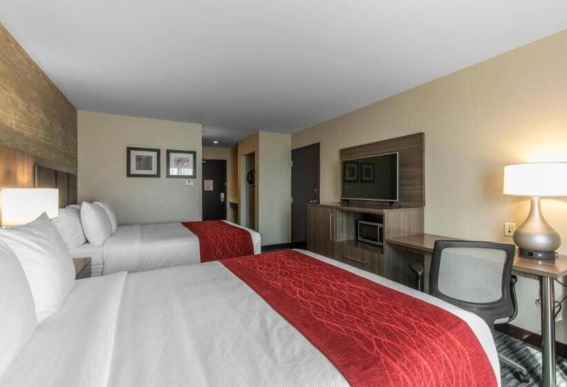 スタンダードルーム, Comfort Inn & Suites Airport North