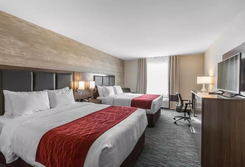 スタンダードルーム, Comfort Inn & Suites Airport North