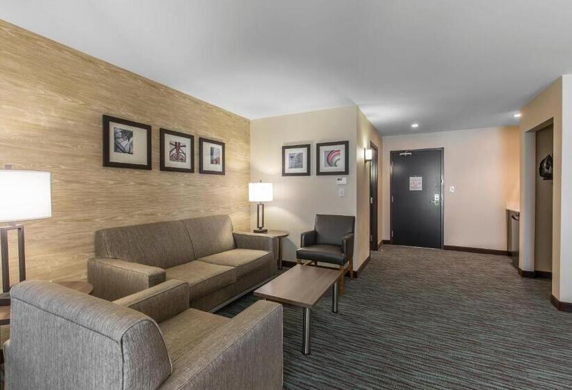 جناح سرير كينج, Comfort Inn & Suites Airport North