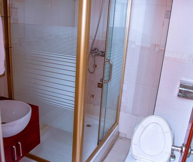 اتاق استاندارد, Greenlight