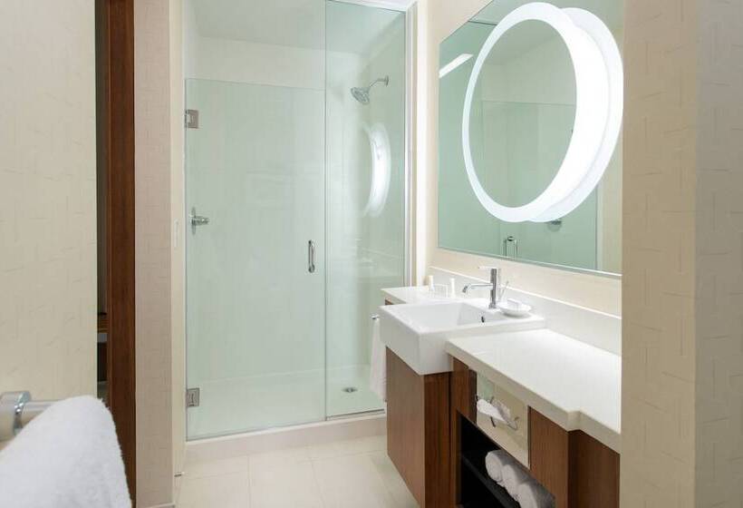 带双人床的标准工作室, Springhill Suites By Marriott Los Angeles Burbank/downtown