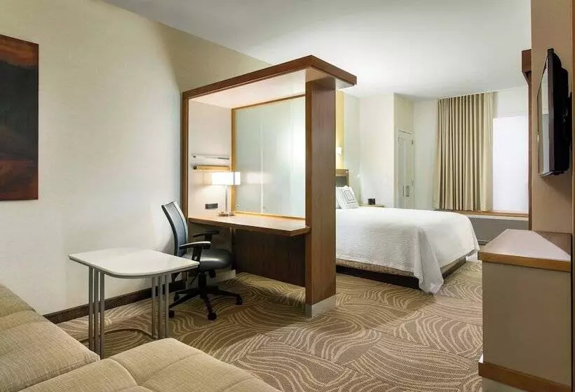 ダブルベッドのスタンダードスタジオ, Springhill Suites By Marriott Los Angeles Burbank/downtown