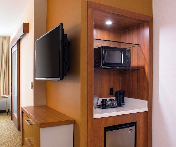 带双人床的标准工作室, Springhill Suites By Marriott Los Angeles Burbank/downtown