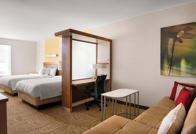 带山景的工作室, Springhill Suites By Marriott Los Angeles Burbank/downtown