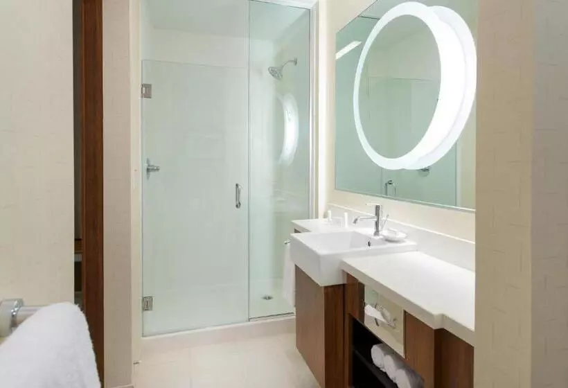 キングサイドベッドのスタンダードワンルーム, Springhill Suites By Marriott Los Angeles Burbank/downtown