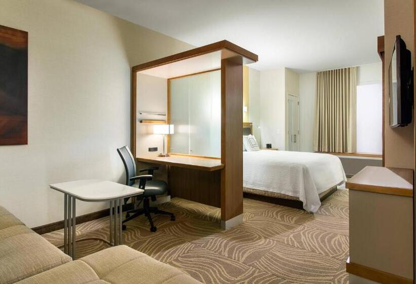 带大床的标准工作室, Springhill Suites By Marriott Los Angeles Burbank/downtown