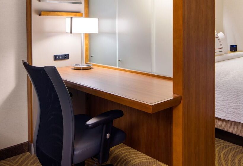 带山景的工作室, Springhill Suites By Marriott Los Angeles Burbank/downtown