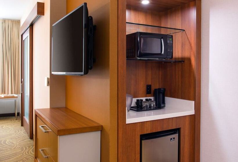 带山景的工作室, Springhill Suites By Marriott Los Angeles Burbank/downtown