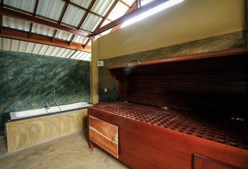 Номер Deluxe, Rockery Villa Ayurveda