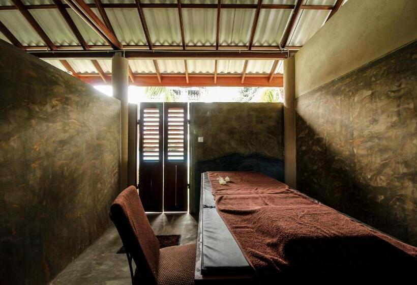 חדר דלוקס, Rockery Villa Ayurveda