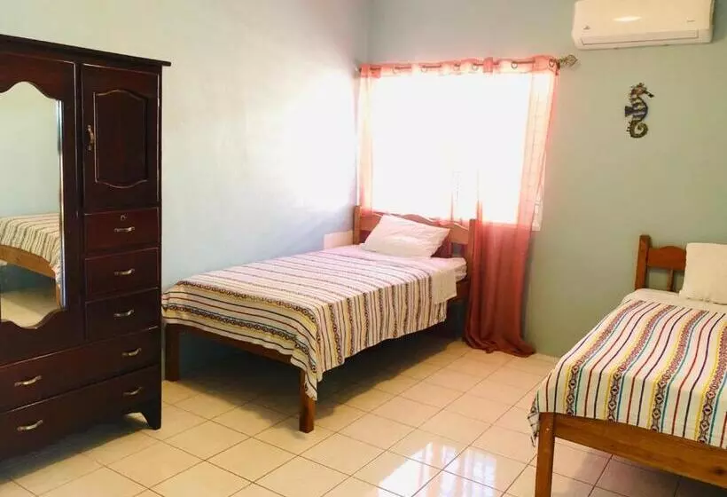 آپارتمان 1 خوابه با چشم‌انداز دریا, Sandbar Beachfront Hostel & Restaurant