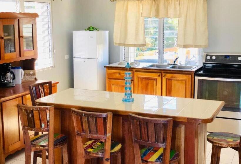 شقة غرفة واحدة مطلة على البحر, Sandbar Beachfront Hostel & Restaurant