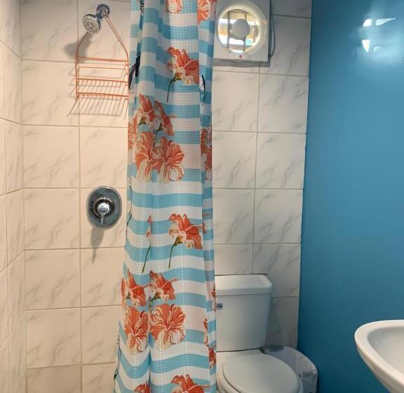 غرفة قياسية, Sandbar Beachfront Hostel & Restaurant