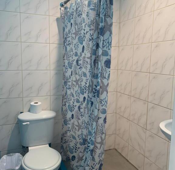 غرفة قياسية, Sandbar Beachfront Hostel & Restaurant