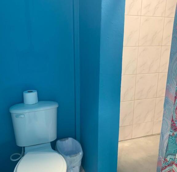 غرفة قياسية رباعية, Sandbar Beachfront Hostel & Restaurant