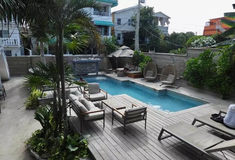 آپارتمان 1 خوابه با چشم‌انداز دریا, Sandbar Beachfront Hostel & Restaurant