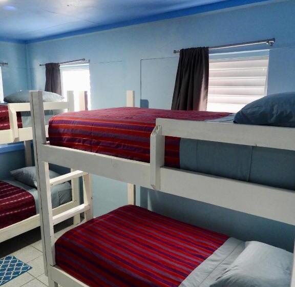 غرفة قياسية رباعية, Sandbar Beachfront Hostel & Restaurant