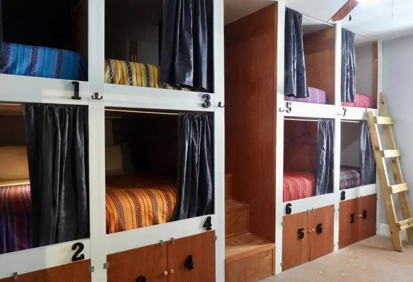 تختخواب در اتاق مشترک, Sandbar Beachfront Hostel & Restaurant