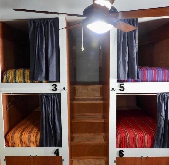 سرير فى غرفة مشتركه, Sandbar Beachfront Hostel & Restaurant