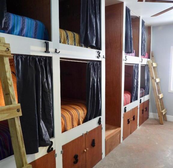 سرير فى غرفة مشتركه, Sandbar Beachfront Hostel & Restaurant