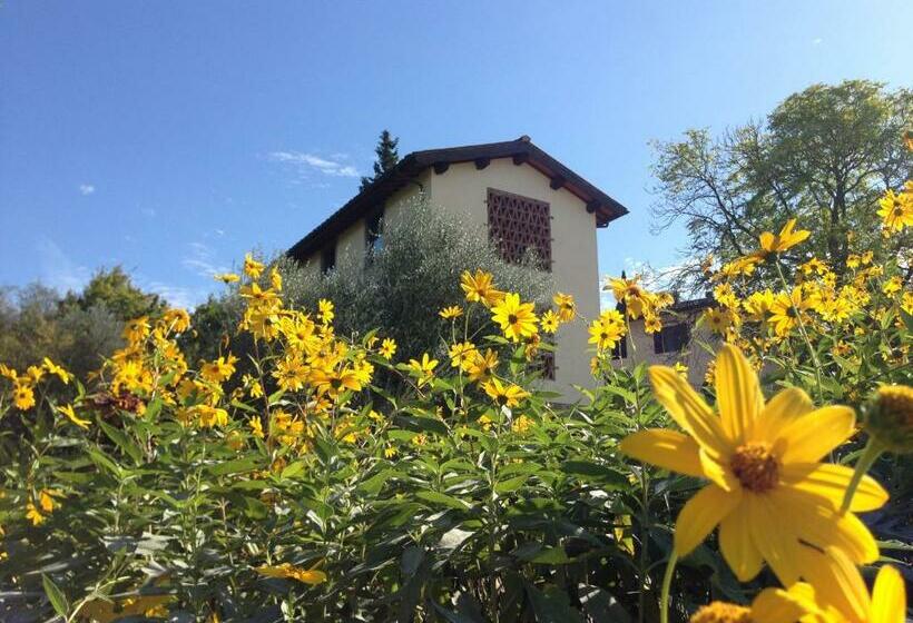 스탠다드 룸, Il Poggiolo Delle Rose Bed&breakfast
